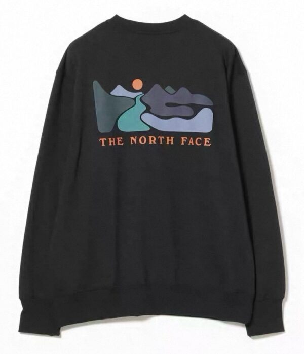 2026年早春新品✨  The north face北面前後印花衛衣
