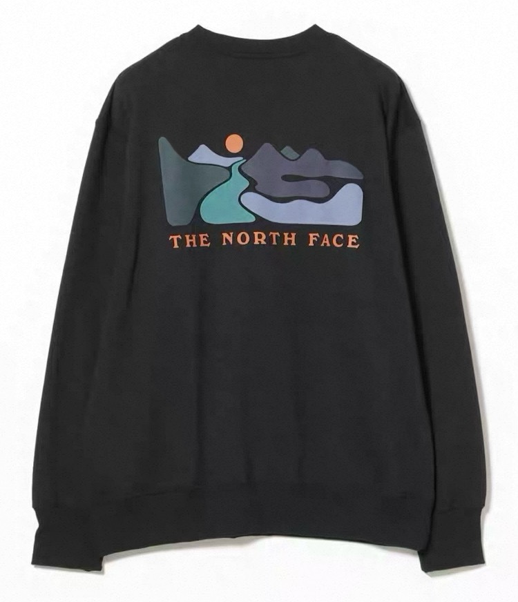 2026年早春新品✨  The north face北面前後印花衛衣：圖片 5