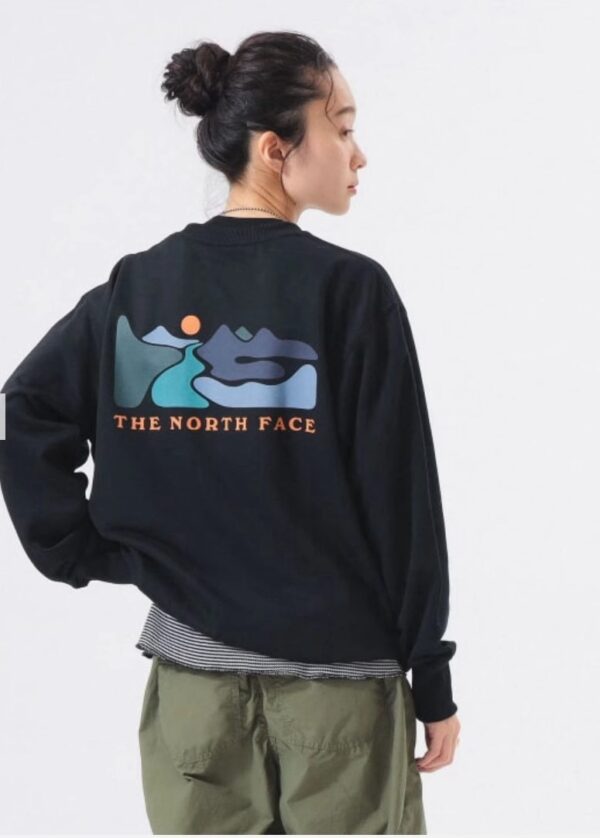 2026年早春新品✨ The north face北面前後印花衛衣