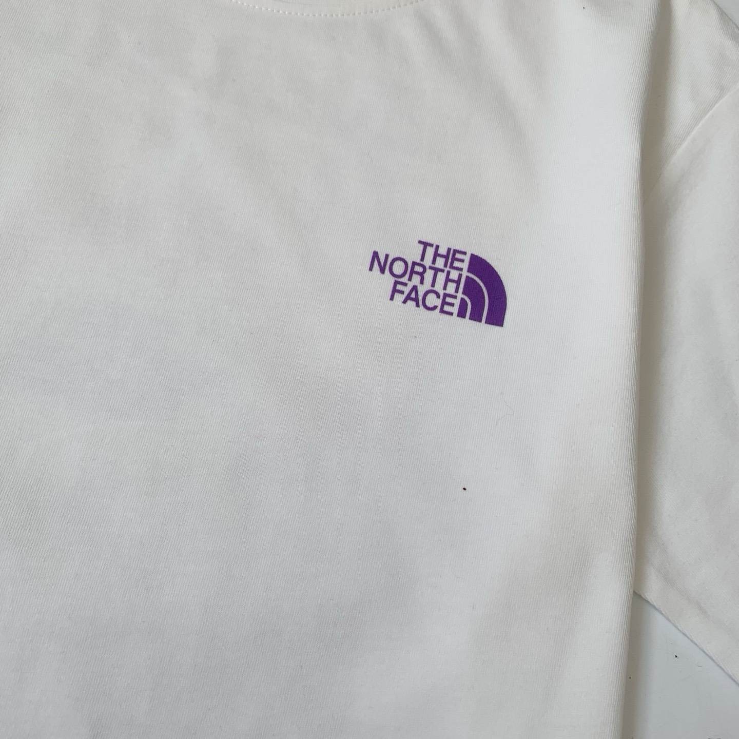 夏季新品✨The north face Never Stop印花T恤：圖片 10
